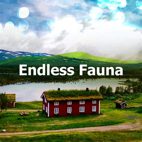 Endless Fauna Album By The Relaxing Sounds Of Swedish Nature Spotify