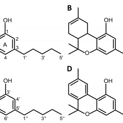 The chemical structure of main cannabinoids present in Cannabis ...