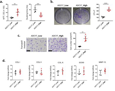 Figure 3 From An Osteoarthritis Subtype Characterized By Synovial Lipid