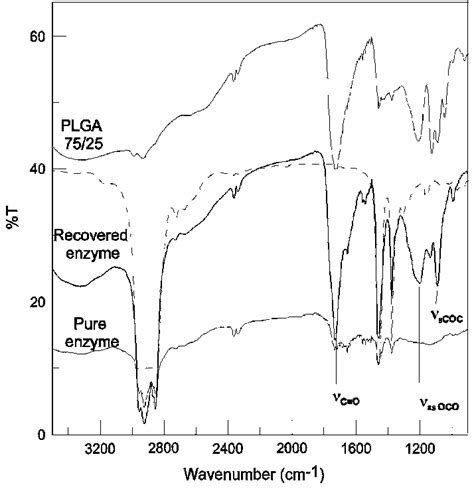 Ftir Spectrum Of Plga Compared With The Spectra Of Recovered And Pure