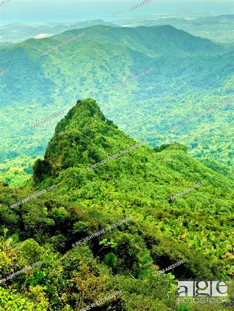 Viewing Los Picachos Peak From The El Yunque Peak Overlook El Yunque