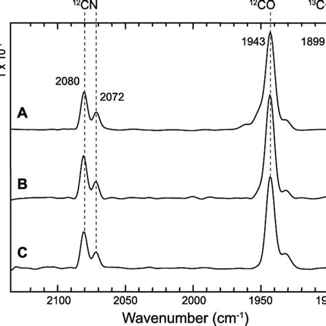 Analysis Of The Cyanide Region In The Ir Spectrum Of Untreated