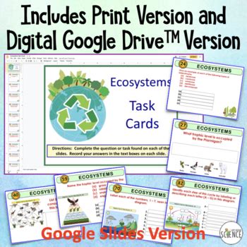 Ecosystems Task Cards By Amy Brown Science Teachers Pay Teachers