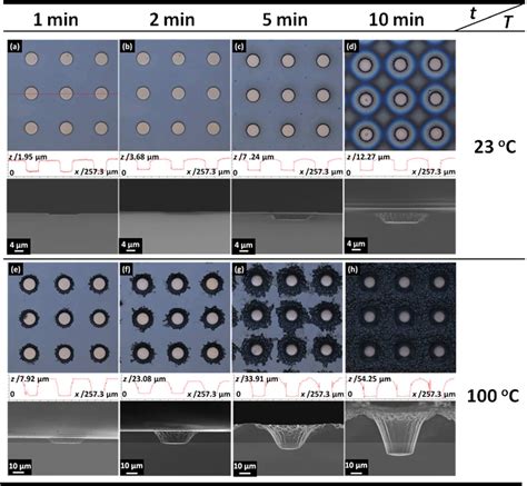 Figure From Deep Etching Of Single And Polycrystalline Silicon With