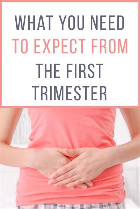 What To Expect In The First Trimester First Trimester