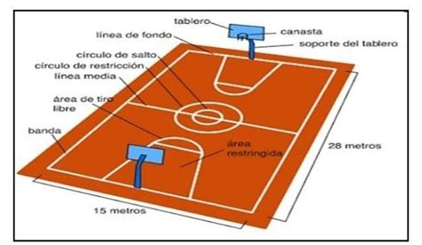 Descubrir Imagen Medidas Oficiales De Una Cancha De Basquetbol Fiba