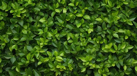 Vibrant Foliage Backdrop Textured Wall Of Tiny Green Leaves Background Grass Wall Grass