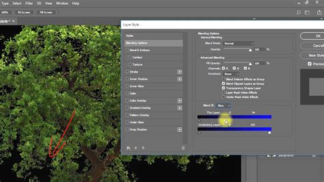 How To Cut Out Tree In Photoshop Tutorials Quick Techniques