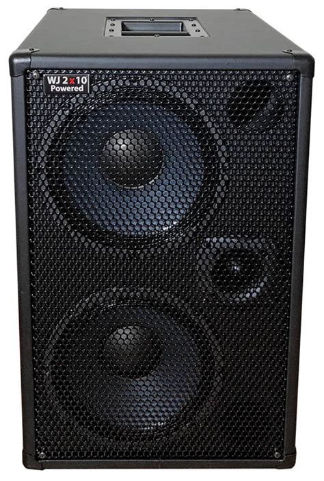 Wj 2×10 1000 Watt Powered Bass Cabinet Wayne Jones Audio