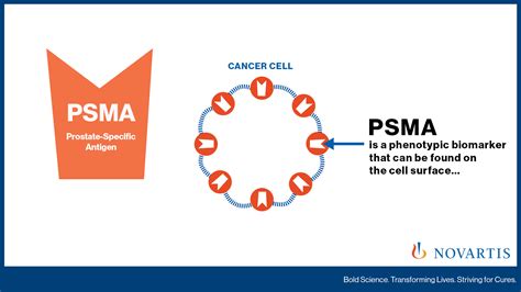 Novartis Cancer Novartiscancer Twitter