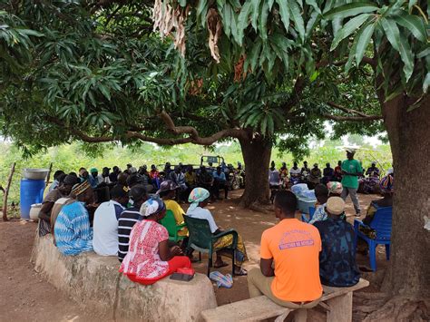 Farmer Field Days In Ghana Stichting Tree Of Life