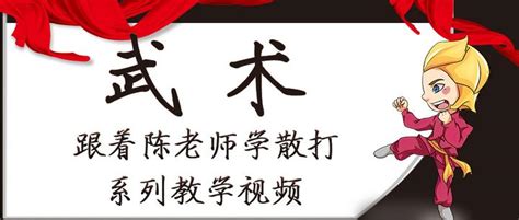 中华武状元散打教学——接踹腿打腿摔全民习武 知乎