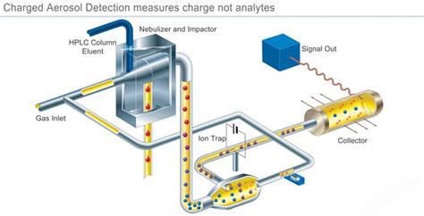 Charged Aerosol Detection For Liquid Chromatography Thermo Fisher