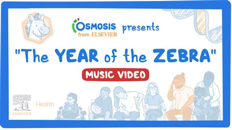 The Year Of The Zebra Music Video Video Causes Meaning Osmosis