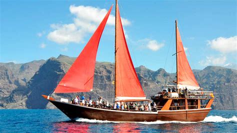 Tenerife Whale Watching Boat Excursions • Tenerife Whale Watching