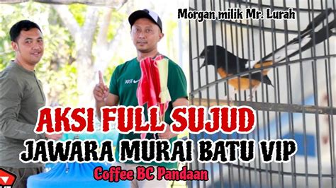 AKSI FULL SUJUD JAWARA MURAI BATU VIP COFFEE BC YouTube