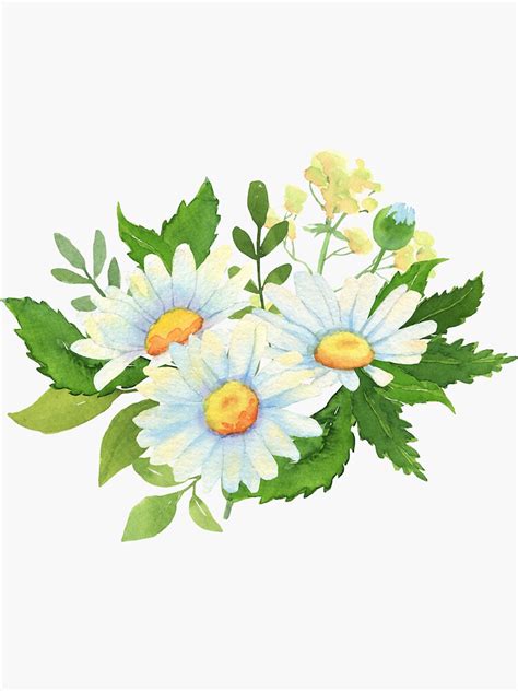 Watercolor Flower Bouquet With Daisies And Green Leaves Sticker For