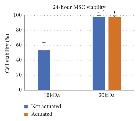 Viability And Proliferation Of Seeded Mscs A Percent Viability Of Download Scientific