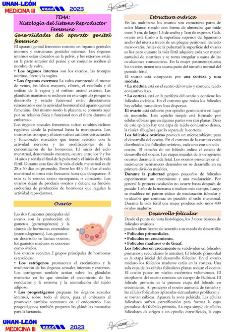 Solution Gu A Histolog A Del Sistema Reproductor Femenino Clase Pr