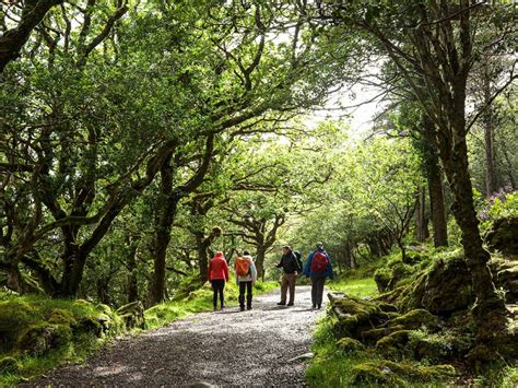 Kerry Mountains Guided Hiking Tour, Ireland - 10Adventures