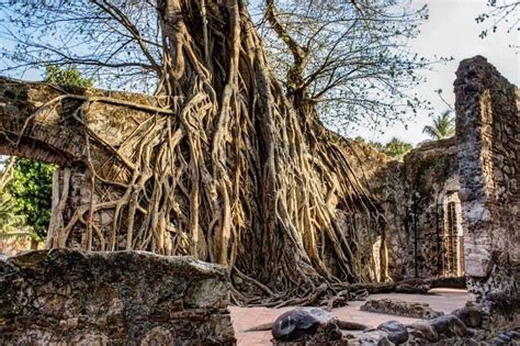 Tesoros De México La Casa De Ensueño De Hernán Cortes En La Antigua