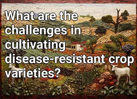 What Are The Challenges In Cultivating Disease Resistant Crop Varieties Agriculturegovcapital