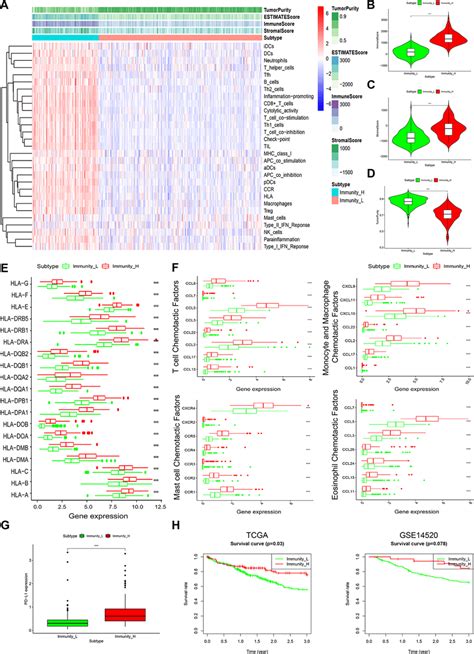 Characterization Of 2 HCC Subtypes Based On Immunogenomic Profiling