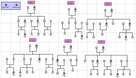 Genogram Examples - GenoPro