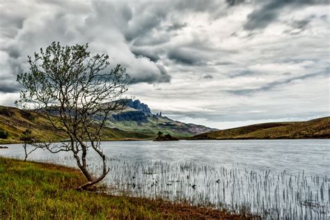 Images Gratuites Paysage Mer C Te Arbre Eau La Nature Herbe Le