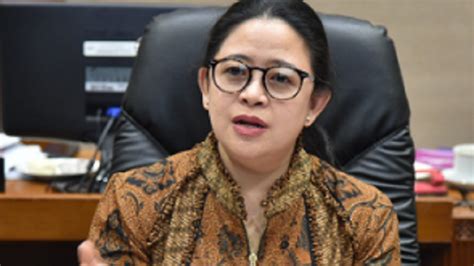 Pdip Siapkan Wakil Untuk Puan Maharani Pengamat Komunikasi Politik