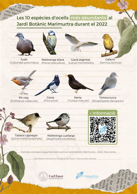 Ocells Marimurtra 2022 Jardí Botànic Marimurtra