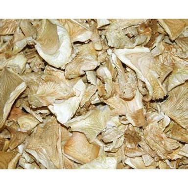 Shardul Mushrooms In Nashik Retailer Of Dry Oyster Mushroom