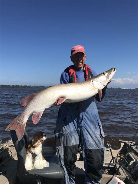 Gallery - Lake Superior Muskies Inc
