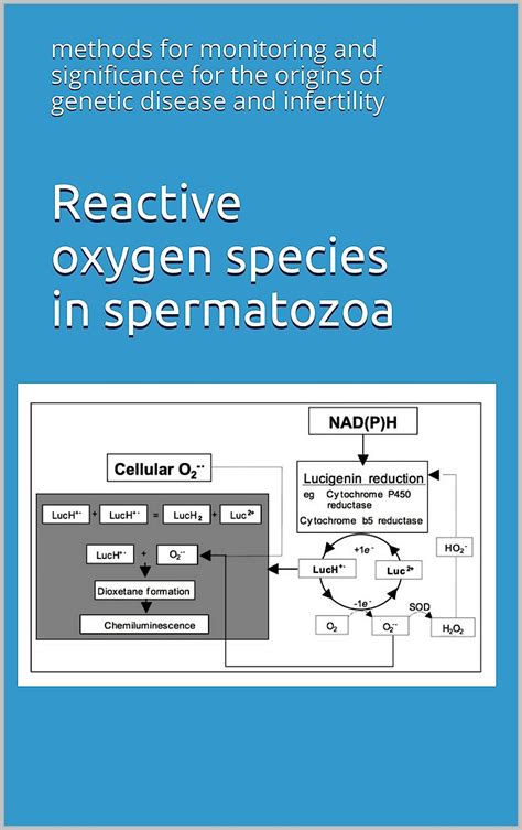 Reactive Oxygen Species In Spermatozoa Methods For