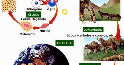 Ecología Población