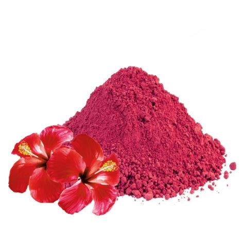 Hibiscus Flower Powder At Rs 600 Kg Hibiscus Flower Powder In New Delhi Id 24249357873