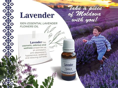 Best Seller Oemodm Pure Lavender Essential Oil Wholesale Price High