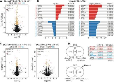 Frontiers Integrative Brain Transcriptome Analysis Reveals Region