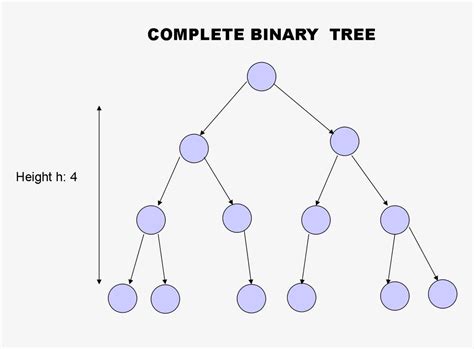 Create Stunning Binary Tree Diagrams With Our Maker