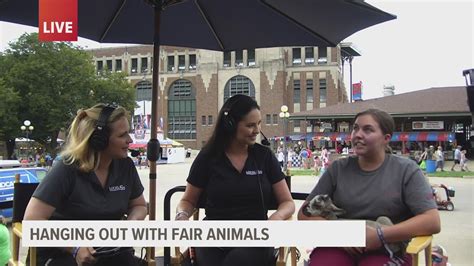 Hanging out with Iowa State Fair Animals (Aug. 12, 2021) | weareiowa.com