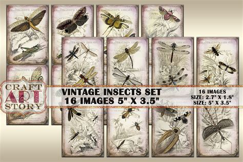 Insects Set Junk Journal Ephemera Graphic By Craftartstory · Creative