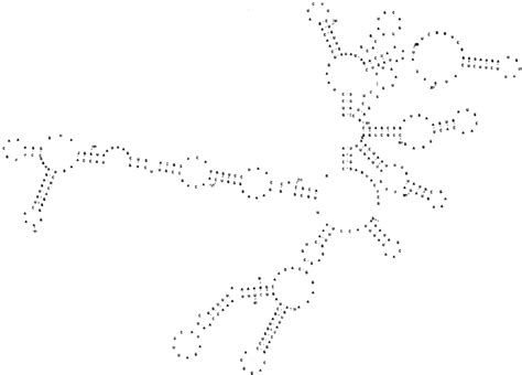 Standard View Of The Secondary Structure Model For Tetrahymena