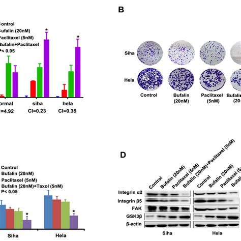 Bufalin Suppressed Cervical Cancer Cell Migration And Invasion By Download Scientific Diagram