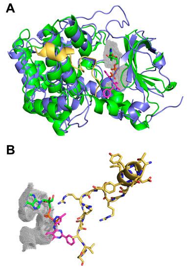 Molecules Free Full Text Kinase Inhibitor Profile For Human Nek