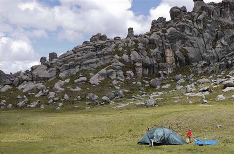 Viaja Por El Bosque De Huayllay Nuestro Santuario Nacional Vamos