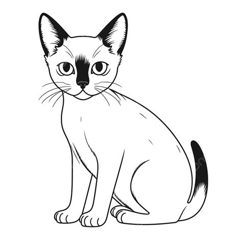 Siamese Cat Outline Hot Sex Picture