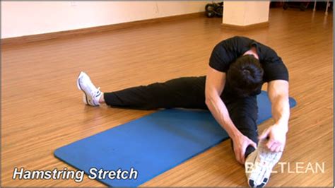 7 Best Stretching Exercises In 2020 (5-Minute Flexibility Routine)