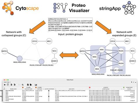 Cytoscape App Store Proteovisualizer