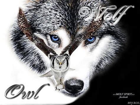 The Wolf And Owl Wolf Art Pinterest