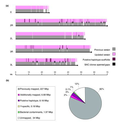 A comparison of the initial and updated versions of the Anopheles ...